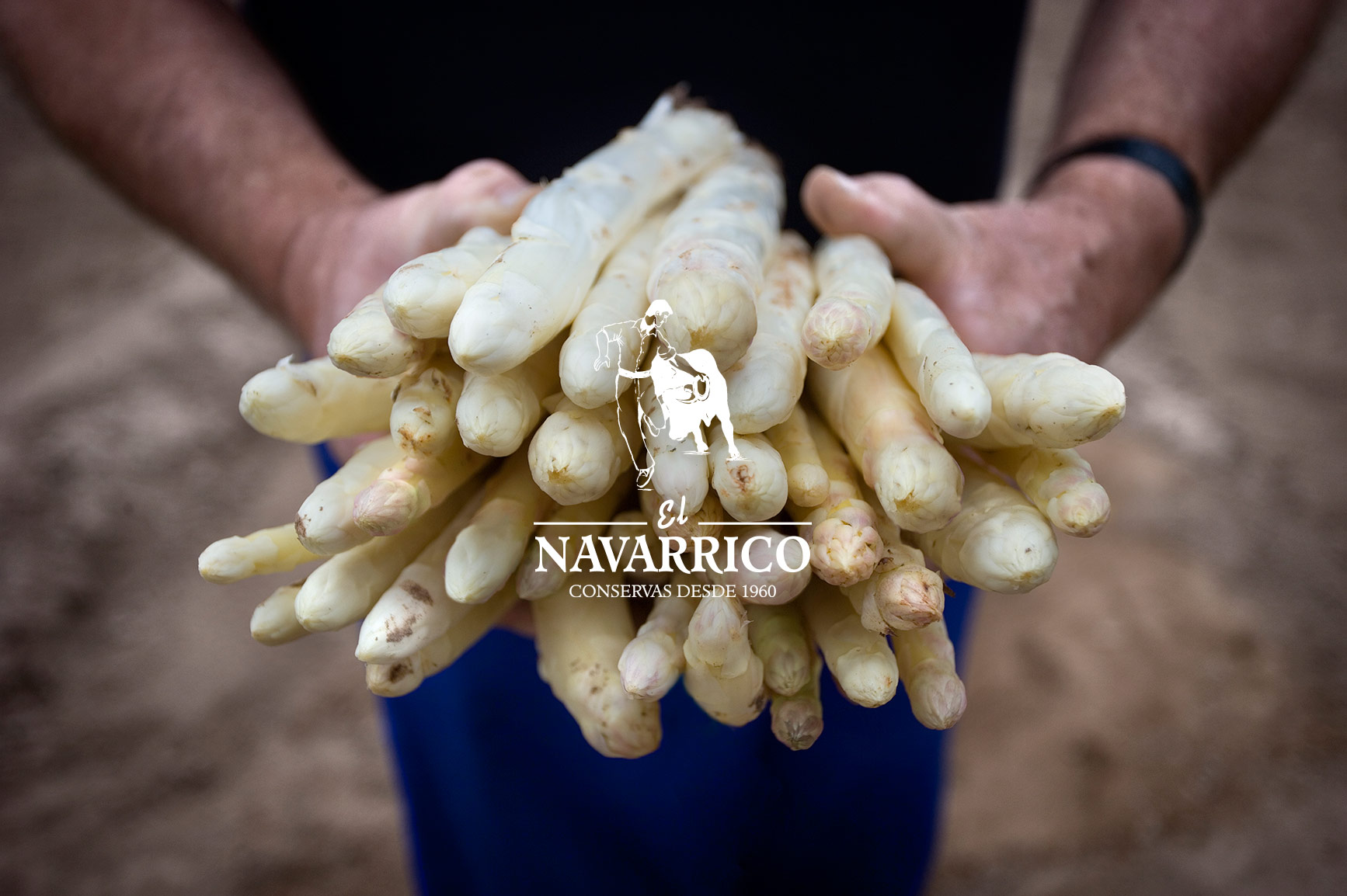 Valge spargel Navarrast - El Navarrico